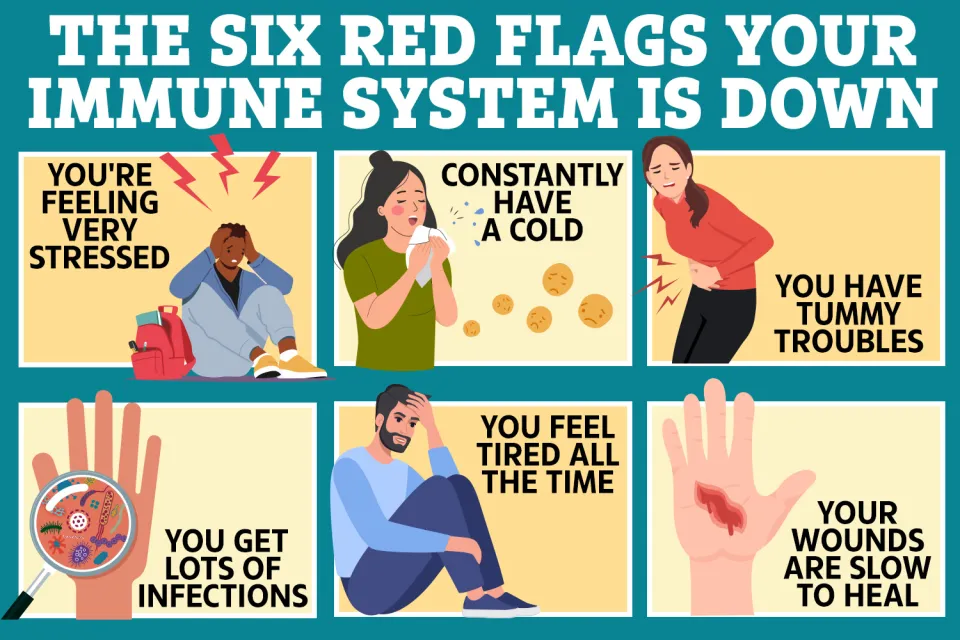 Why Is Immune Health Being Affected Even in Young People? How Significant Is the Challenge?